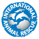 International Animal Rescue